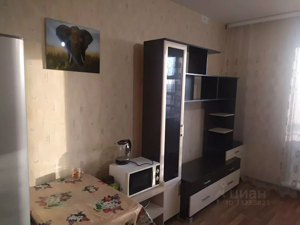 Студия Красноярский край, Красноярск ул. Петра Подзолкова, 5А (25.9 м) - Фото 1