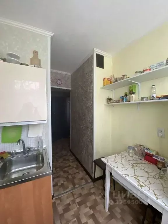 1-к кв. Ленинградская область, Выборг ул. Гагарина, 33 (33.0 м) - Фото 2