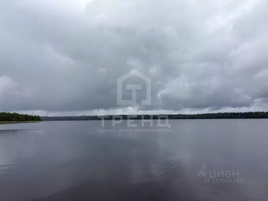 Участок в Ленинградская область, Приозерский район, Громовское с/пос, ... - Фото 2