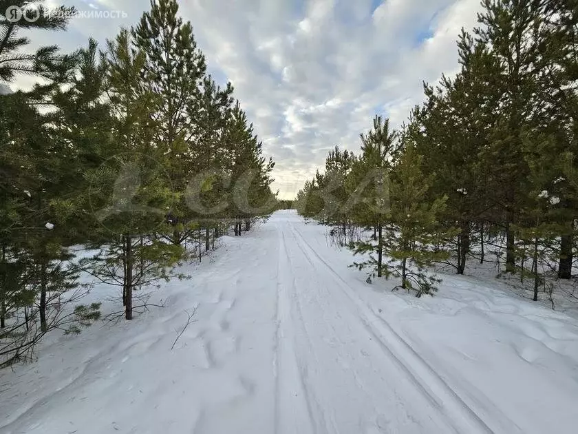 Участок в Свердловская область, посёлок городского типа Тугулым (16 м) - Фото 0