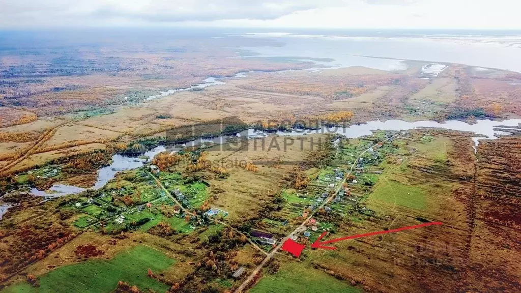 Участок в Новгородская область, Новгородский район, Пролетарское ... - Фото 0