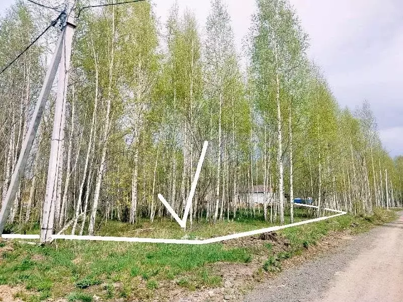Участок 5,7 сот. (ИЖС) - Фото 1