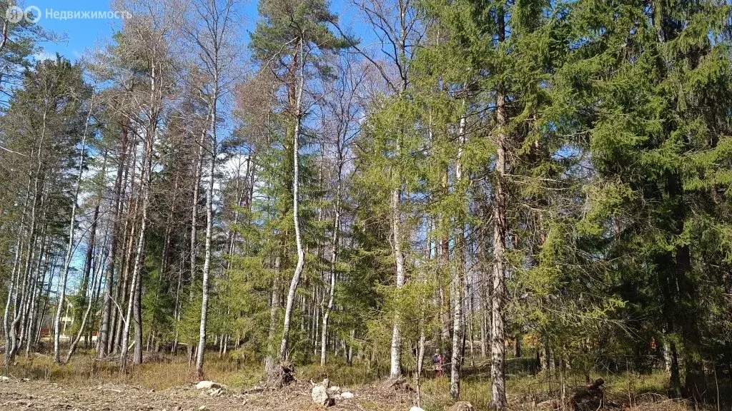 Участок в деревня Новожилово, Центральная улица (1164 м) - Фото 0