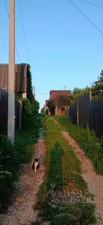 Участок в Нижегородская область, Кстово Ялта СНТ,  (5.0 сот.) - Фото 1