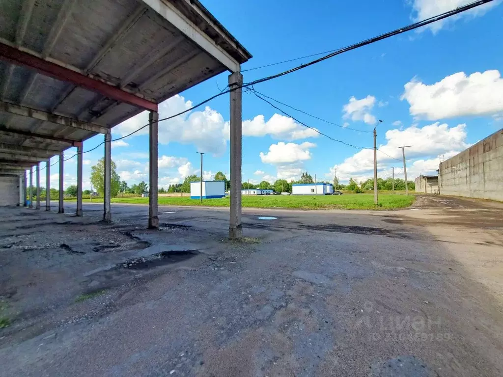 Склад в Ленинградская область, Волосово ул. Усадьба ВИЗ (20687 м) - Фото 1