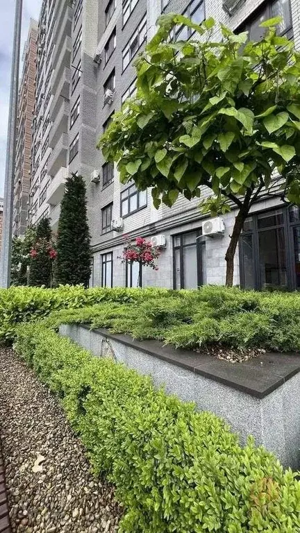 1-к кв. Краснодарский край, Новороссийск ул. Революции 1905 года, 37 ... - Фото 1