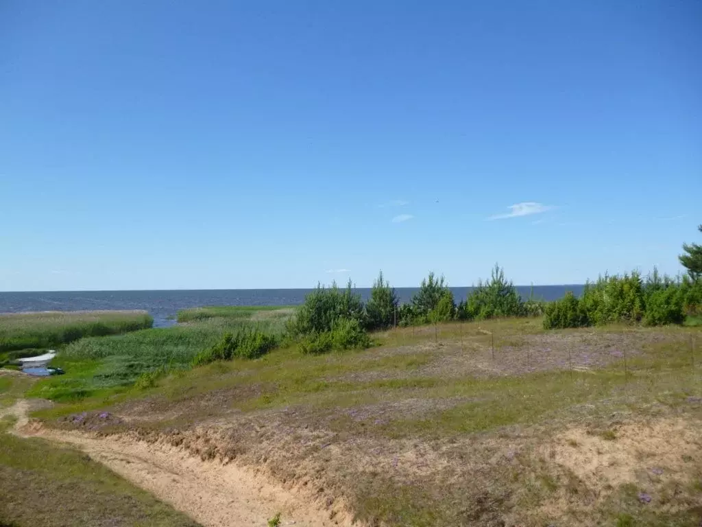 Участок в Псковская область, Гдовский район, д. Раскопель  (75.0 сот.) - Фото 1