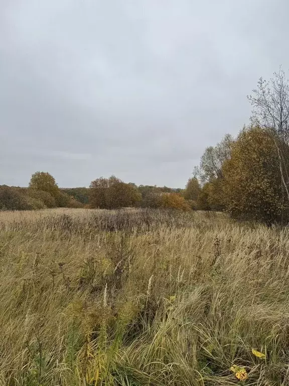 Участок в Московская область, Чехов муниципальный округ, д. Плужково  ... - Фото 1