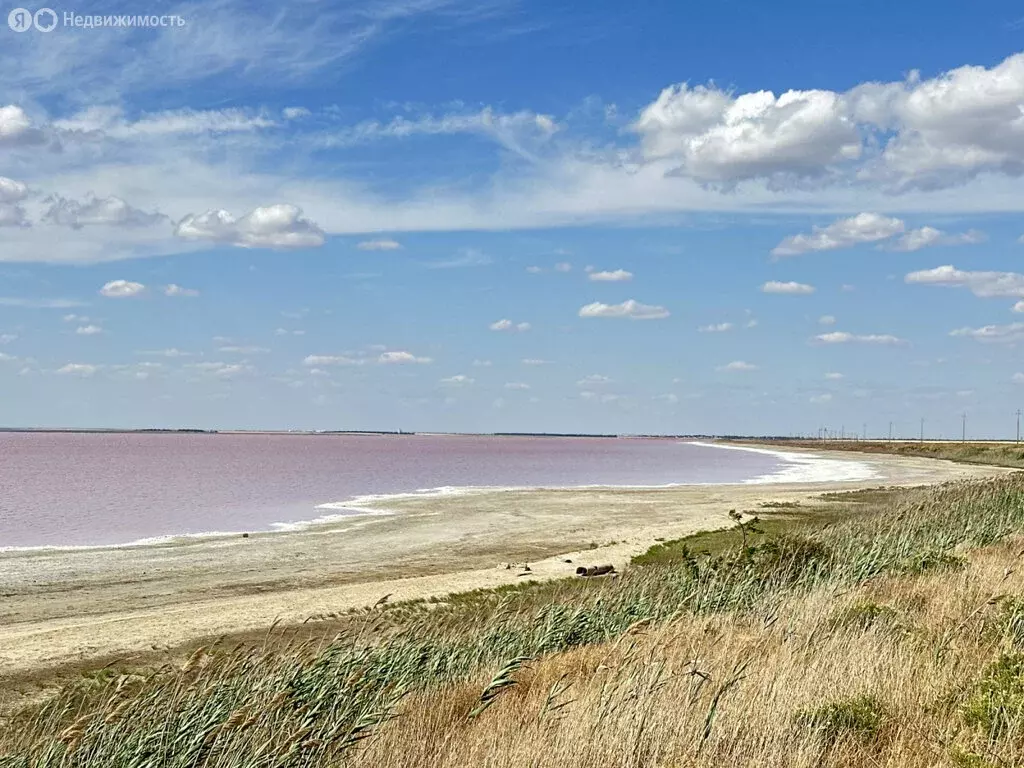 Участок в село Лесновка, Абрикосовая улица (6.21 м) - Фото 0