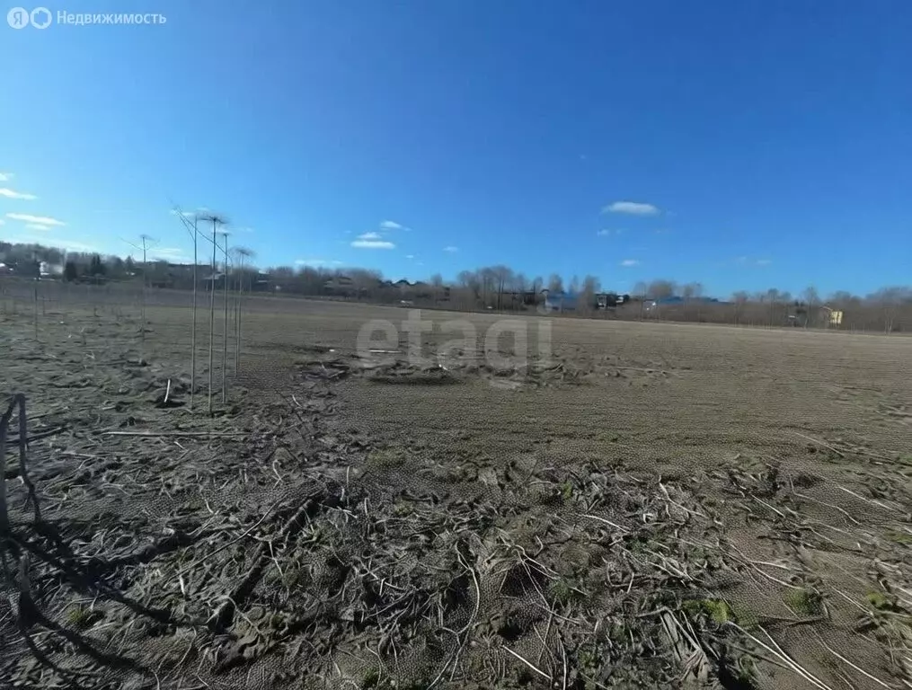 Участок в Республика Коми, муниципальный район Сыктывдинский, село ... - Фото 2