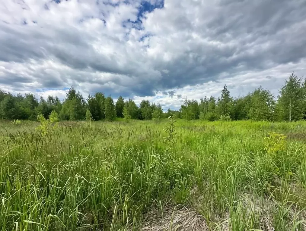 Участок в Нижегородская область, Бор ул. Красная, 17 (10.0 сот.) - Фото 1