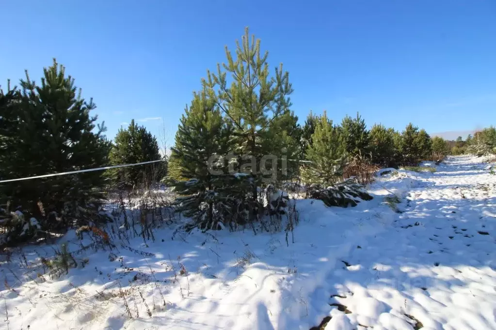 Участок в Свердловская область, Горноуральский городской округ, с. ... - Фото 1