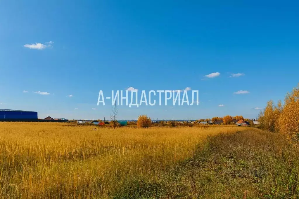 Участок в Московская область, Химки городской округ, д. Перепечино с1 ... - Фото 2