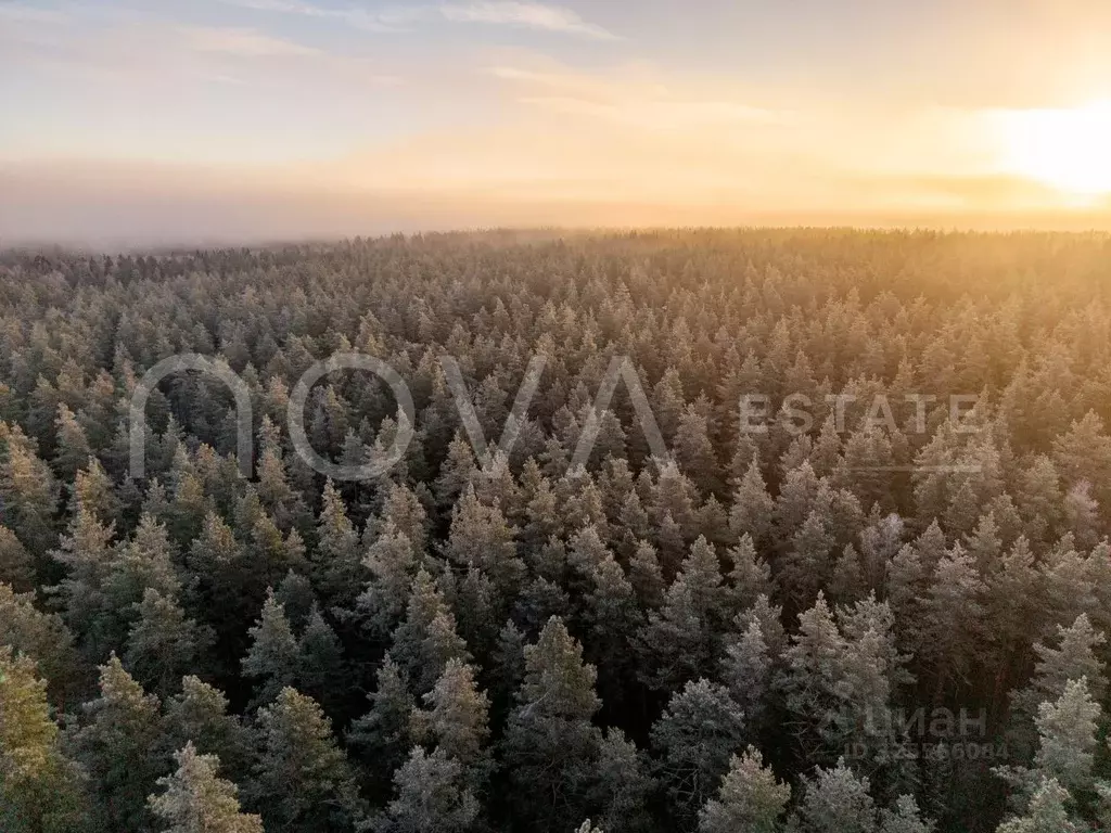 Участок в Ленинградская область, Выборгский район, Первомайское с/пос, ... - Фото 2