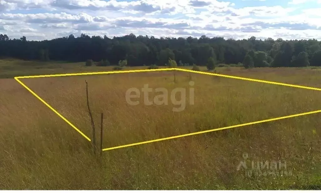 Участок в Ставропольский край, Шпаковский муниципальный округ, с. ... - Фото 2