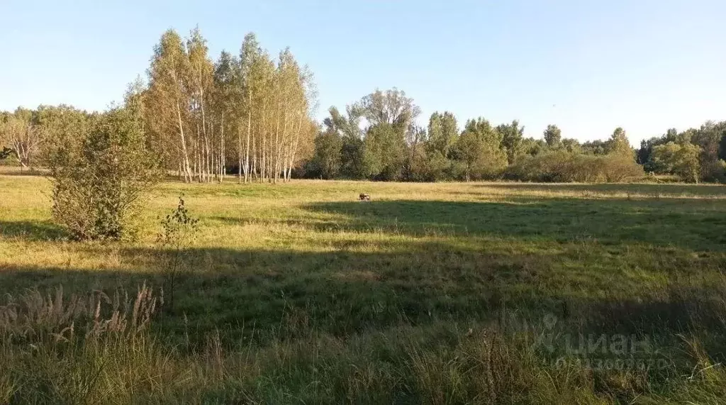 Участок в Московская область, Лосино-Петровский городской округ, д. ... - Фото 0