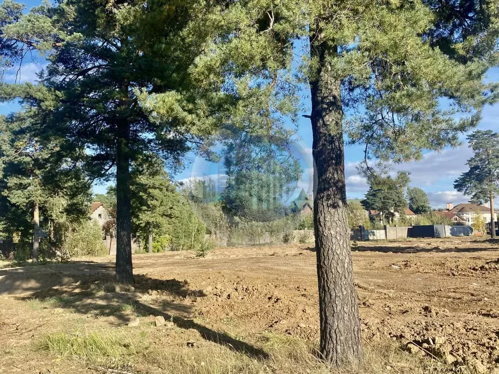 Участок в Московская область, Ленинский городской округ, д. Суханово, ... - Фото 1