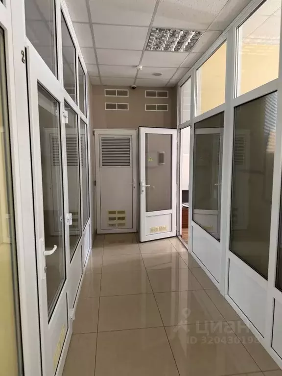 Офис в Краснодарский край, Анапа ул. Краснозеленых, 15 (32 м) - Фото 1