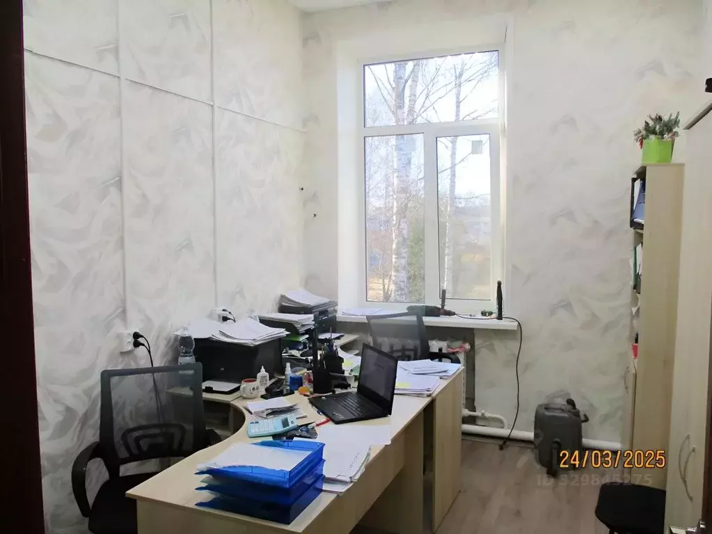 Помещение свободного назначения в Нижегородская область, Дальнее ... - Фото 1
