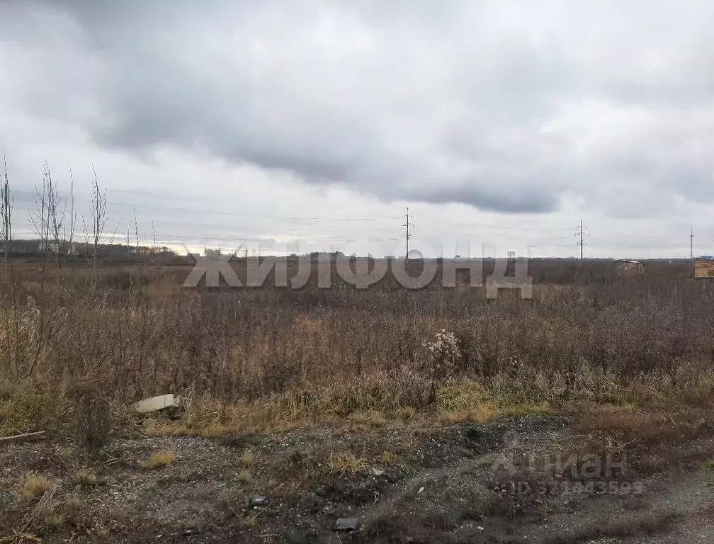 Участок в Новосибирская область, Новосибирский район, Криводановский ... - Фото 2