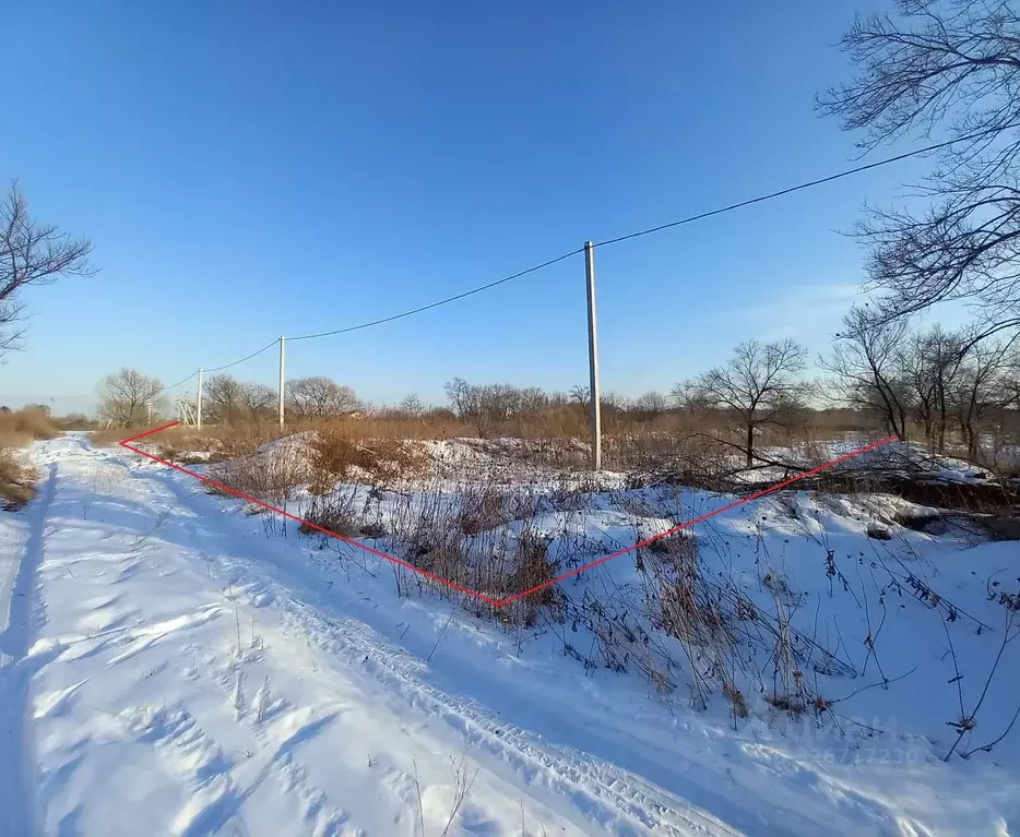 Участок в Приморский край, Уссурийский городской округ, с. Борисовка  ... - Фото 2