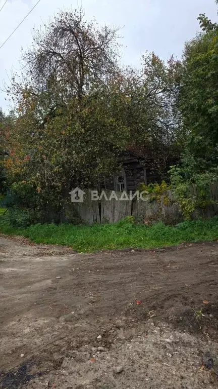 Участок в Владимирская область, Судогодский район, с. Мошок ул. ... - Фото 1