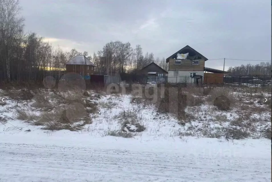 Участок в Красноярский край, Емельяновский муниципальный округ, пос. ... - Фото 1