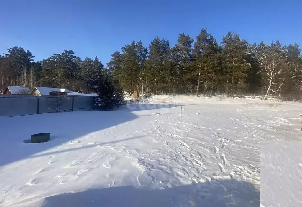 Участок в Алтайский край, Барнаул городской округ, Поселок Борзовая ... - Фото 0