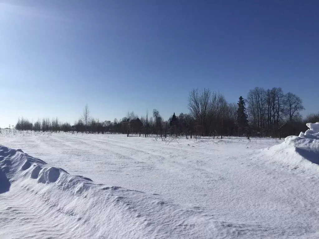 Участок в Московская область, Сергиево-Посадский городской округ, д. ... - Фото 1