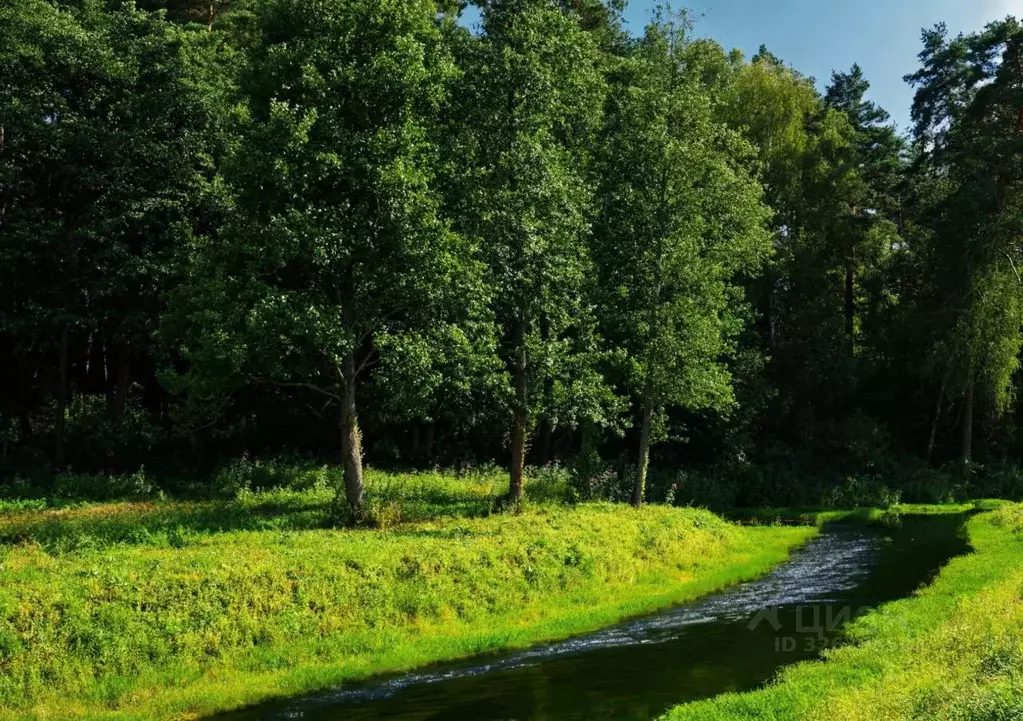 Участок в Московская область, Ступино городской округ, Кедровый парк ... - Фото 1