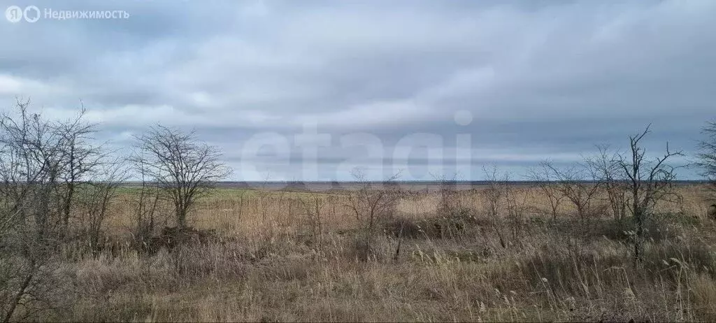 Участок в Синицынское сельское поселение, село Васильковое, Светлая ... - Фото 2