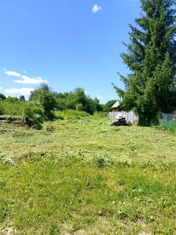 Участок в Нижегородская область, Богородский муниципальный округ, д. ... - Фото 1
