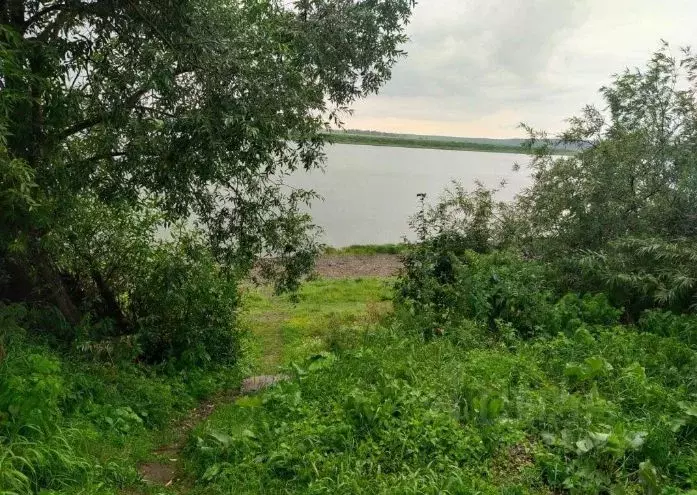 Дом в Томская область, Томский район, с. Курлек  (140 м) - Фото 2