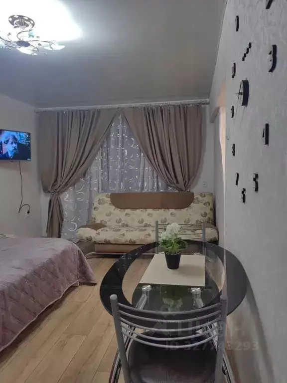 1-к кв. Еврейская автономная область, Биробиджан ул. Шолом-Алейхема, ... - Фото 2