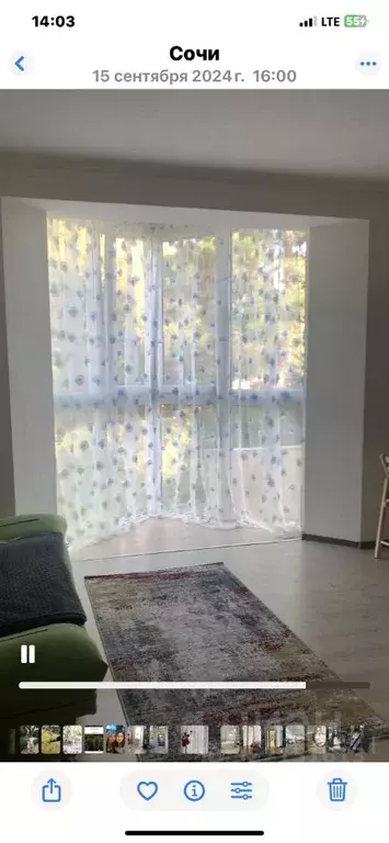 1-к кв. Краснодарский край, Сочи Светлана мкр, ул. Дмитриевой, 13Б ... - Фото 1