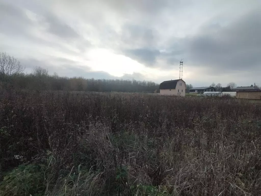 Участок в Ленинградская область, Ломоносовский район, Гостилицкое ... - Фото 0