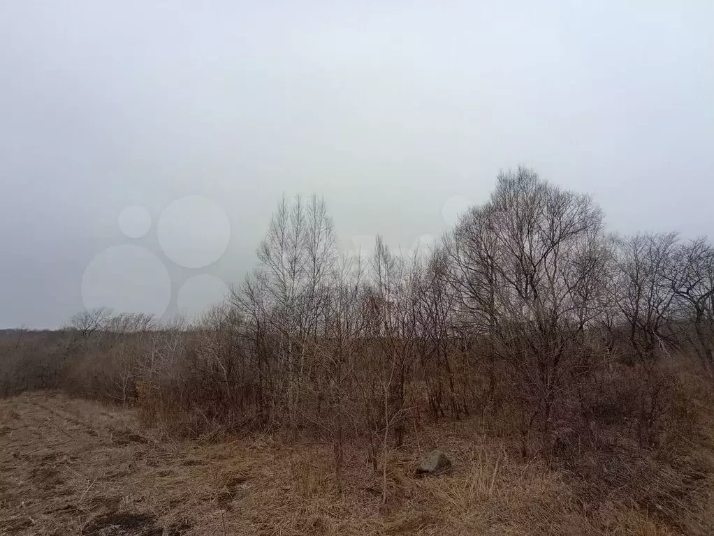 Участок 45,9 сот. (личное подсобное хозяйство (лпх)) - Фото 1