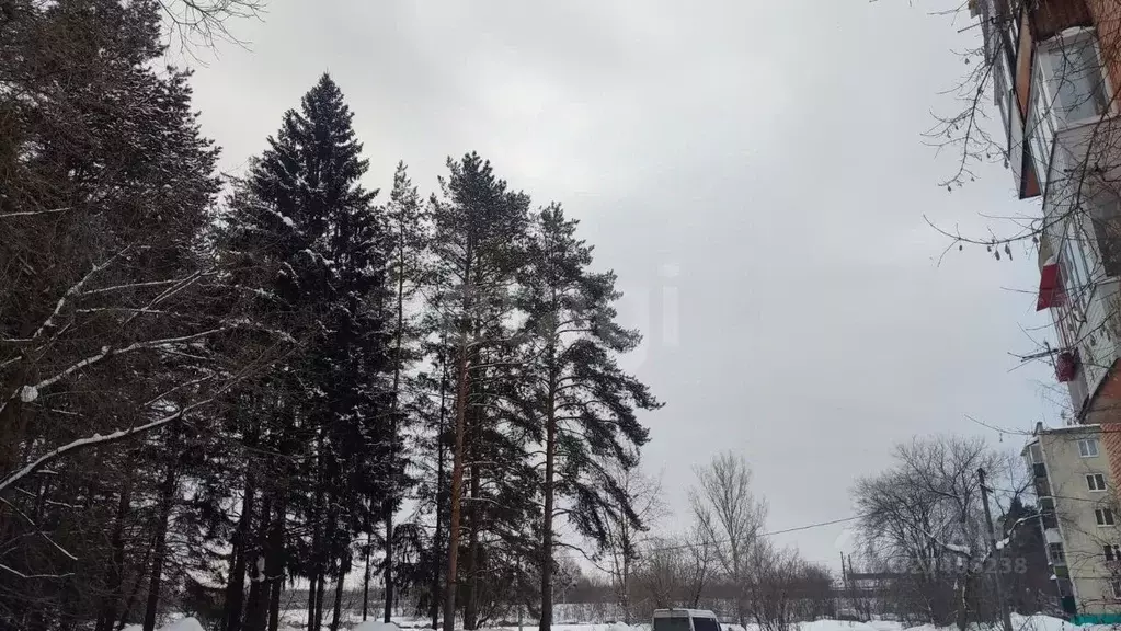 2-к кв. Пермский край, Пермь Заречная ул., 143 (44.2 м) - Фото 2