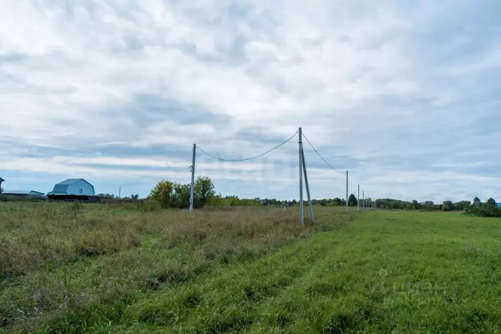 Участок в Алтайский край, Смоленский район, с. Смоленское ул. ... - Фото 1