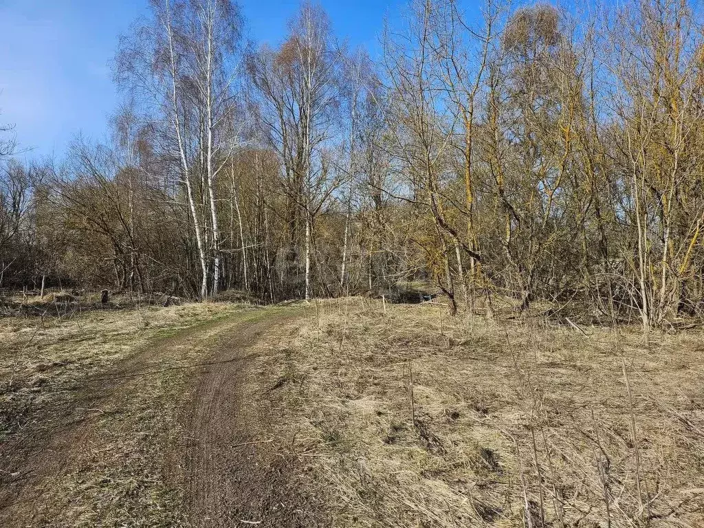 Участок в Владимирская область, Муром с. Борисоглеб,  (54.0 сот.) - Фото 1