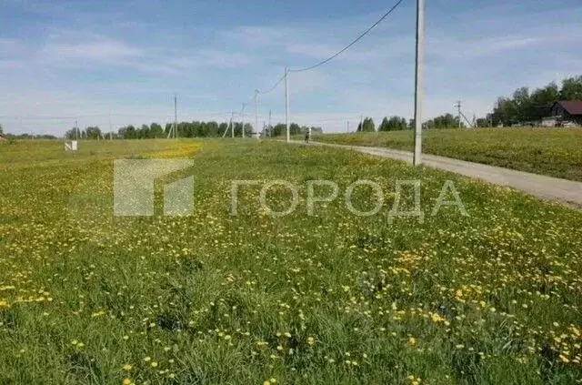 Участок в Новосибирская область, Новосибирский район, Кубовинский ... - Фото 2