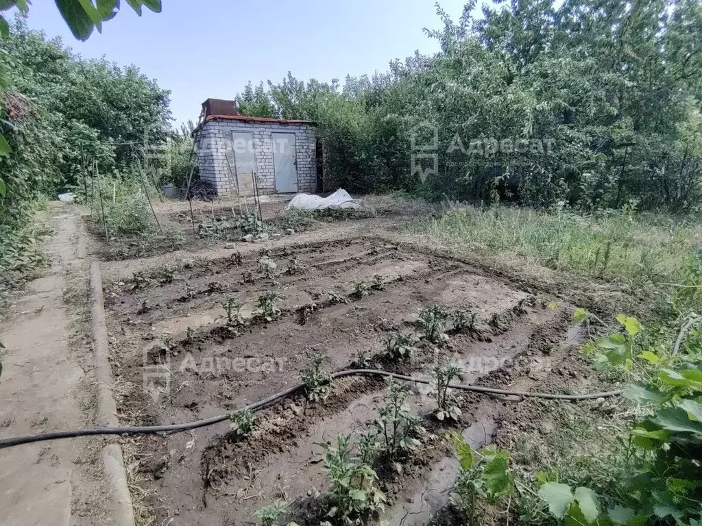 Дом в Волгоградская область, Дубовский район, Пичужинское с/пос, Сталь ... - Фото 1