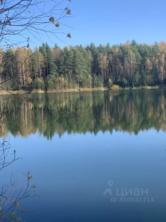 Участок в Московская область, Балашиха  (12.0 сот.) - Фото 1