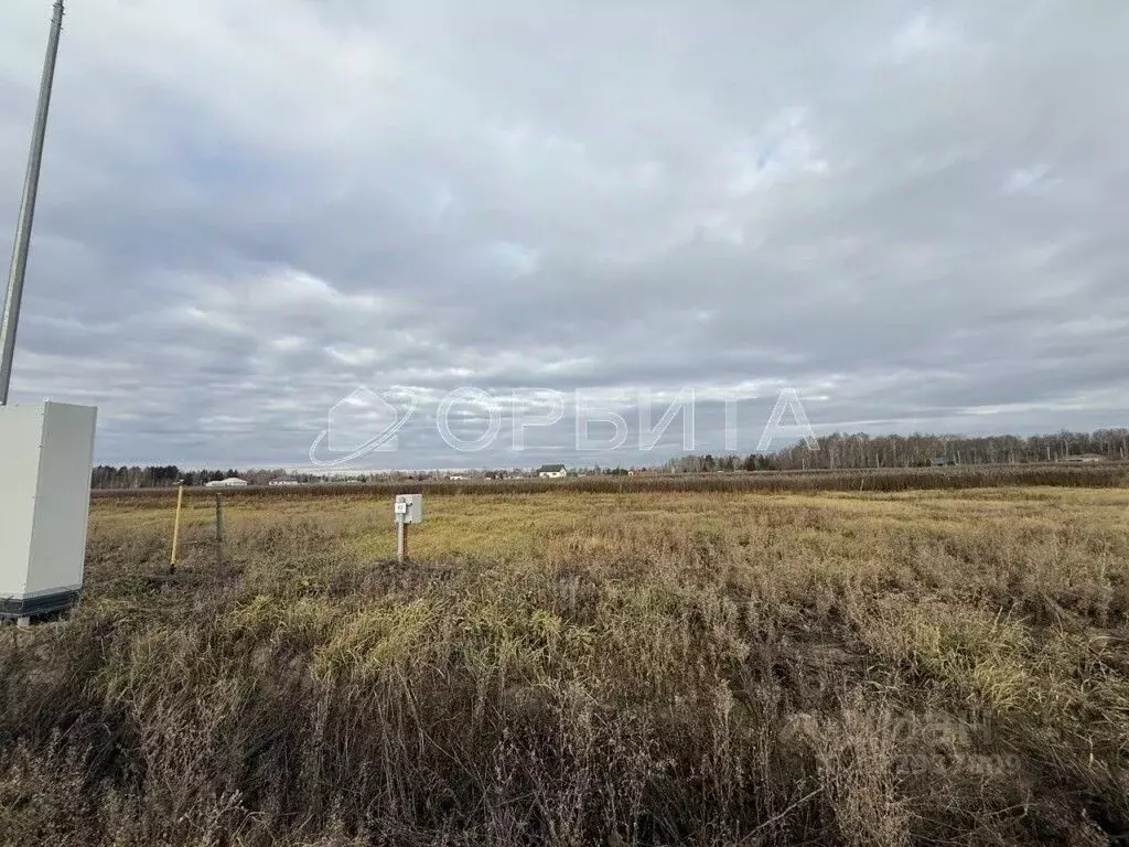 Участок в Тюменская область, Тюменский муниципальный округ, с. Каменка ... - Фото 1