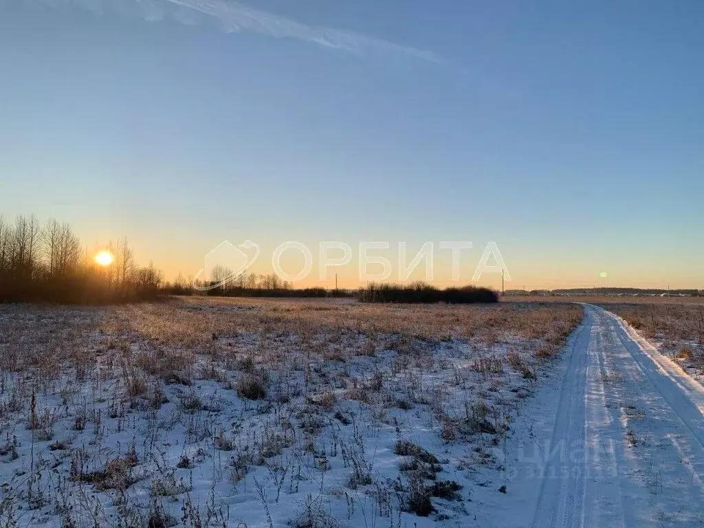 Участок в Тюменская область, Тюменский район, д. Елань 14 (8.1 сот.) - Фото 0