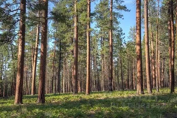 Участок в Московская область, Одинцовский городской округ, д. Жуковка  ... - Фото 0