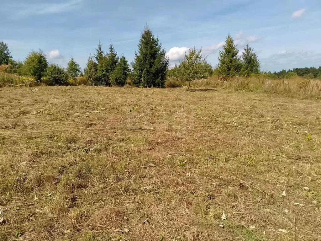 Участок в Костромская область, Галич ул. Ивана Бирцева (9.6 сот.) - Фото 2