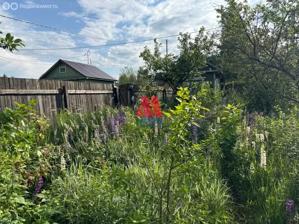 Участок в Ярославль, СНТ Резинотехника-3 (5.4 м) - Фото 1