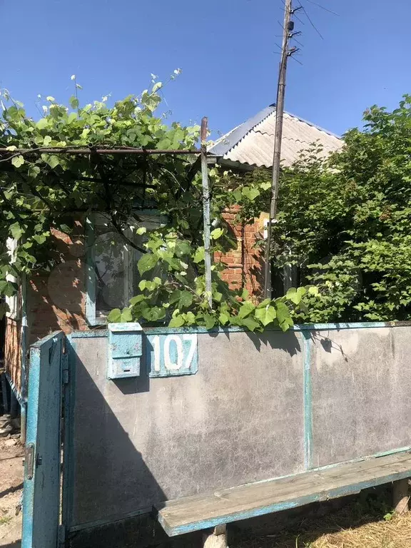 Дом 43 м на участке 20 сот. - Фото 1
