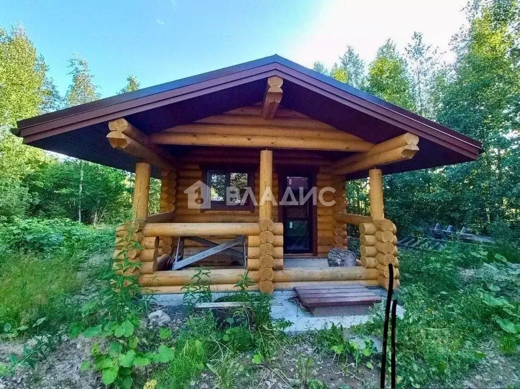 Участок в Карелия, Петрозаводск ул. Усадебная (15.0 сот.) - Фото 2